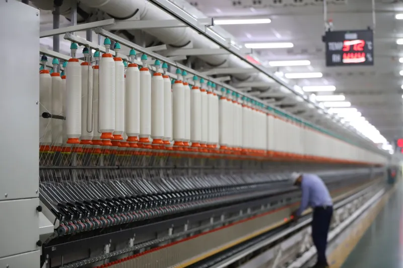 Homegrown Threads: How American Cotton Mills Are Reclaiming the Denim Industry