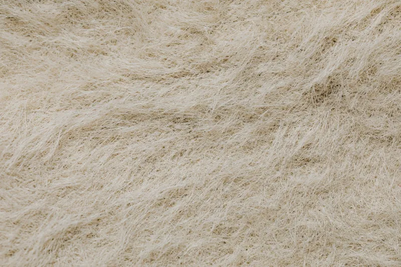 Follow the Money: How Synthetic Fiber Giants Quietly Convinced America to Stop Trusting Cotton