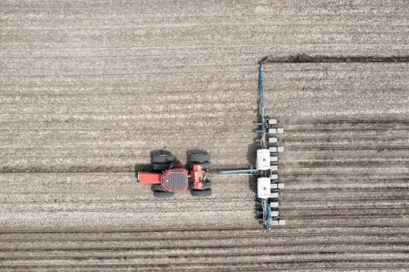 What You're Really Paying For When You Skip American Cotton